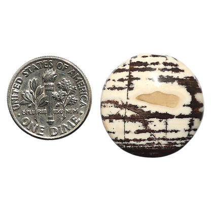 Natural Outback Jasper 22x22x5 mm Round Shape Polished Gemstone LS99-010266