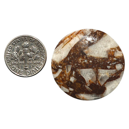 Natural Stick Agate 30.3x30.3x5.5 mm Round Shape Polished Gemstone LS99-010269