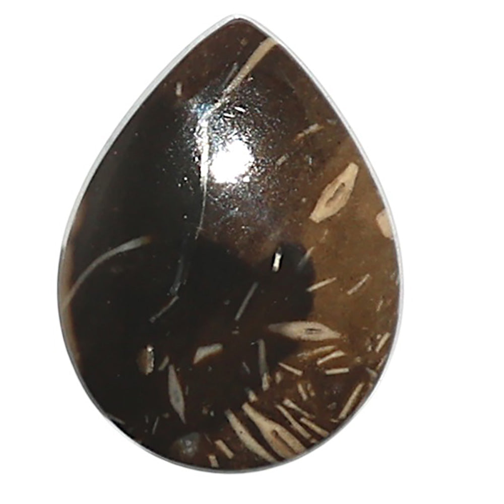 Natural Bat Cave Jasper 15.4x20.2x5 mm Pear Shape Polished Gemstone LS99-010274