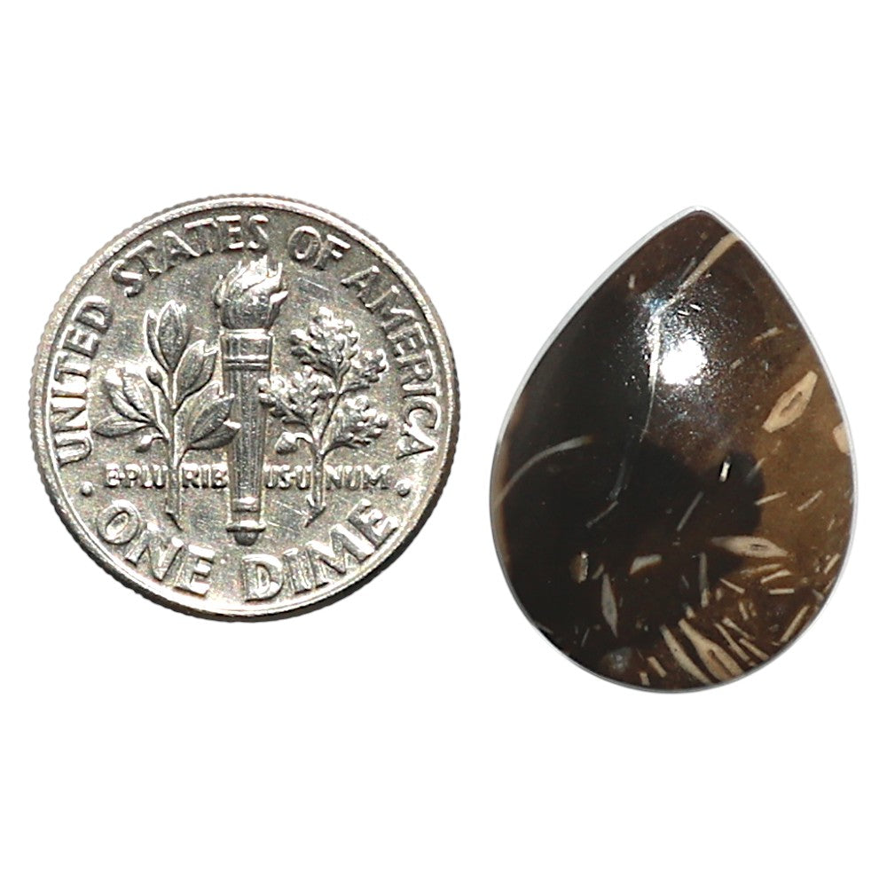 Natural Bat Cave Jasper 15.4x20.2x5 mm Pear Shape Polished Gemstone LS99-010274