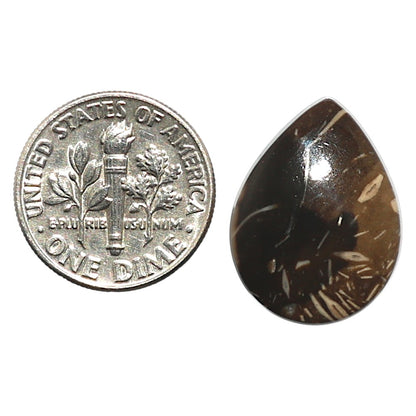 Natural Bat Cave Jasper 15.4x20.2x5 mm Pear Shape Polished Gemstone LS99-010274