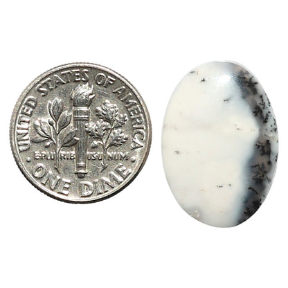 Natural Merlinite Dendritic Opal 14.8x21x5 mm Oval Shape Polished Gemstone LS99-010277