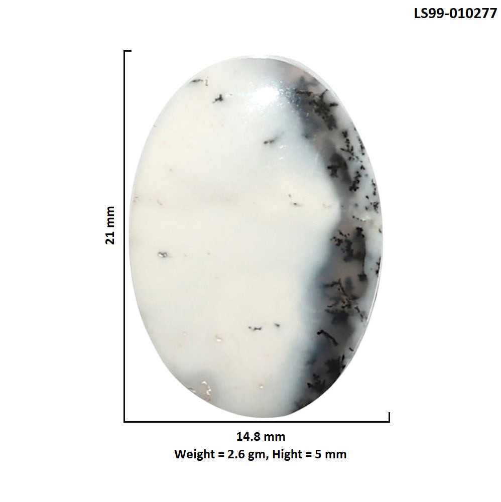 Natural Merlinite Dendritic Opal 14.8x21x5 mm Oval Shape Polished Gemstone LS99-010277