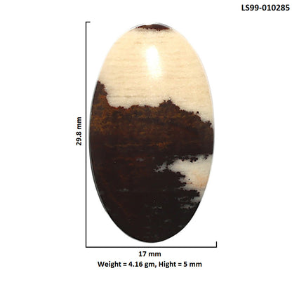 Natural Outback Jasper 17x29.8x5 mm Oval Shape Polished Gemstone LS99-010285