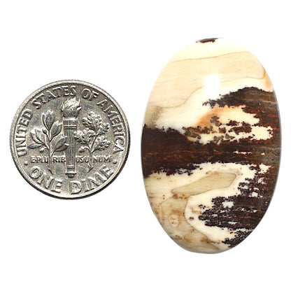 Natural Outback Jasper 20.8x32.1x6 mm Oval Shape Polished Gemstone LS99-010290