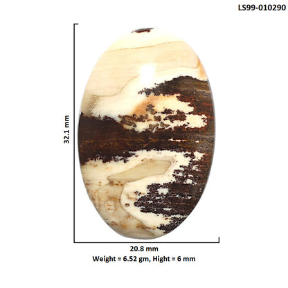 Natural Outback Jasper 20.8x32.1x6 mm Oval Shape Polished Gemstone LS99-010290