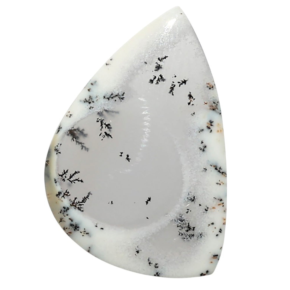 Natural Merlinite Dendritic Opal 20.6x30.55x3 mm Fancy Shape Polished Gemstone LS99-010311