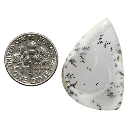 Natural Merlinite Dendritic Opal 20.6x30.55x3 mm Fancy Shape Polished Gemstone LS99-010311