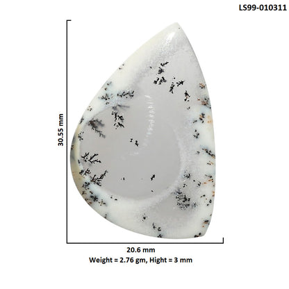 Natural Merlinite Dendritic Opal 20.6x30.55x3 mm Fancy Shape Polished Gemstone LS99-010311