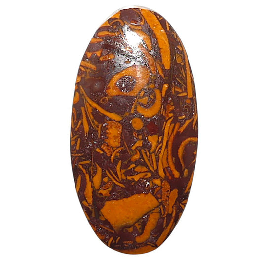 Natural Coquina Fossil Jasper 15.7x30.15x5.4 mm Oval Shape Polished Gemstone LS99-010314
