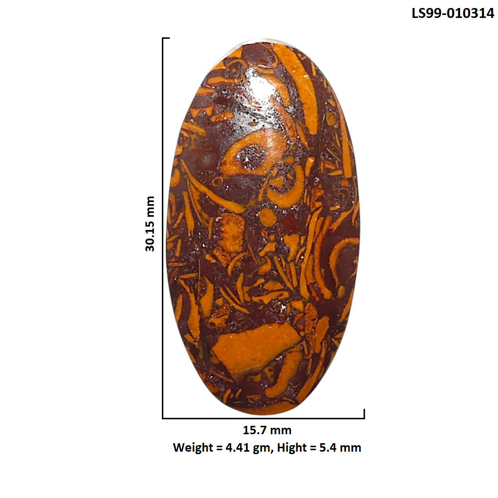 Natural Coquina Fossil Jasper 15.7x30.15x5.4 mm Oval Shape Polished Gemstone LS99-010314