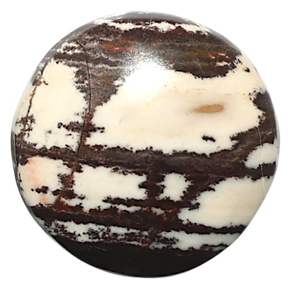 Natural Outback Jasper 19.5x19.5x5 mm Round Shape Polished Gemstone LS99-010316