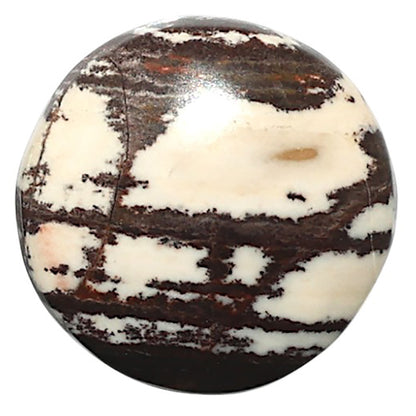 Natural Outback Jasper 19.5x19.5x5 mm Round Shape Polished Gemstone LS99-010316
