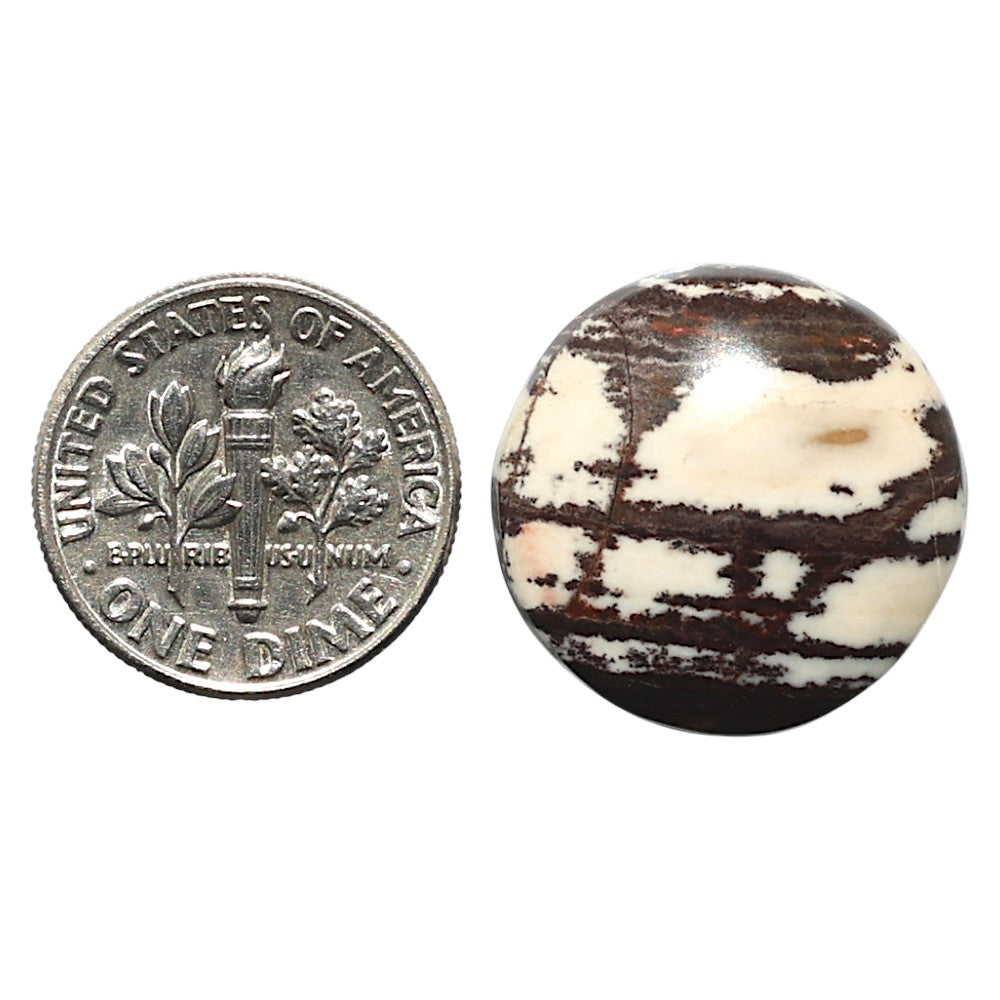 Natural Outback Jasper 19.5x19.5x5 mm Round Shape Polished Gemstone LS99-010316