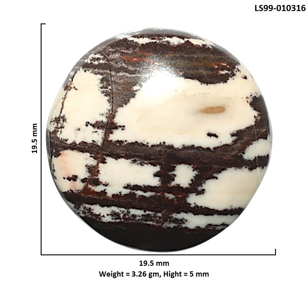 Natural Outback Jasper 19.5x19.5x5 mm Round Shape Polished Gemstone LS99-010316