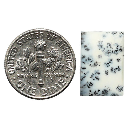 Natural Merlinite Dendritic Opal 11x16x3 mm Baguette Shape Polished Gemstone LS99-010317