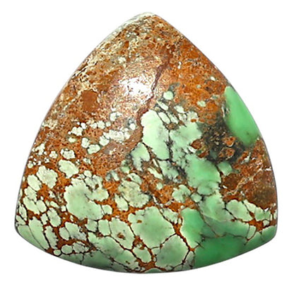 Natural Utah Variscite 20.2x20.2x5.3 mm Fancy Shape Polished Gemstone LS99-010323