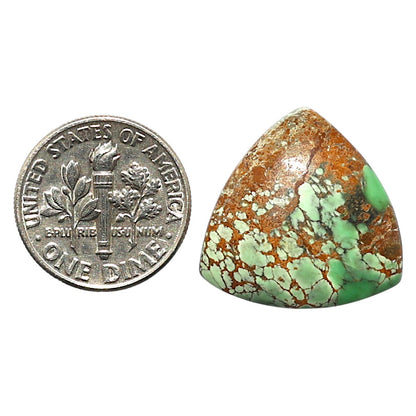 Natural Utah Variscite 20.2x20.2x5.3 mm Fancy Shape Polished Gemstone LS99-010323
