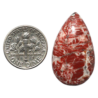 Natural Money Agate 17.3x29.5x5 mm Pear Shape Polished Gemstone LS99-010325