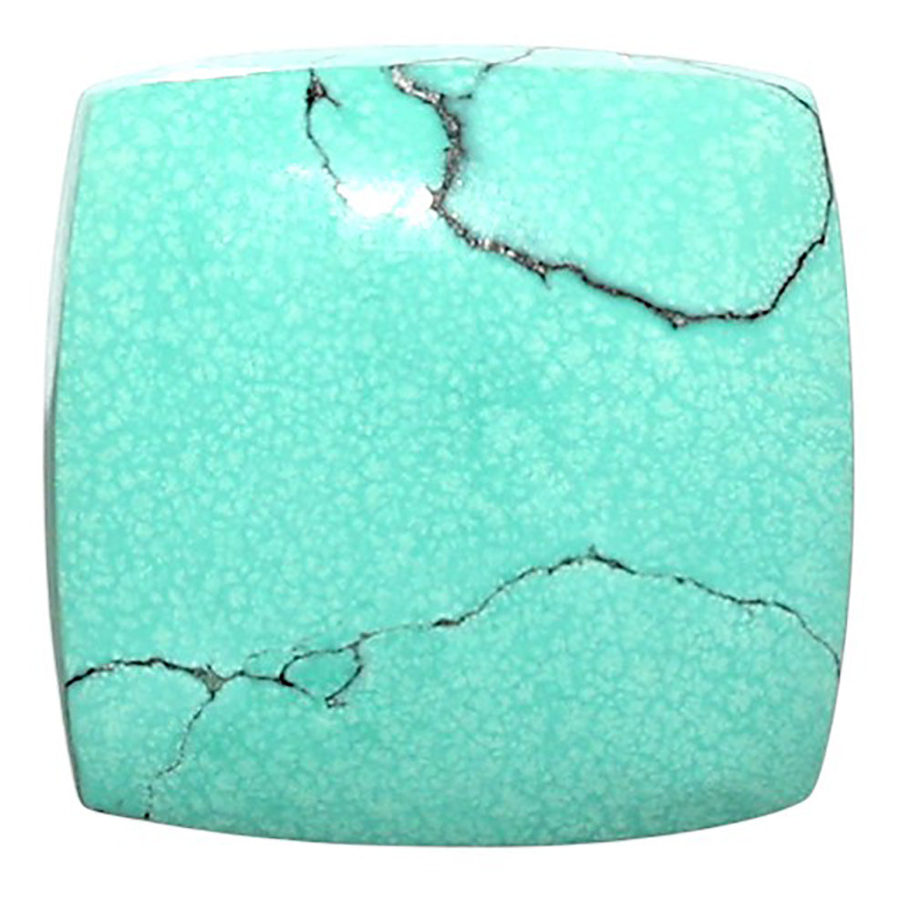Natural Lucky Charm Tibetan Turquoise 18.7x18.7x6 mm Cushion Shape Polished Gemstone LS99-010327