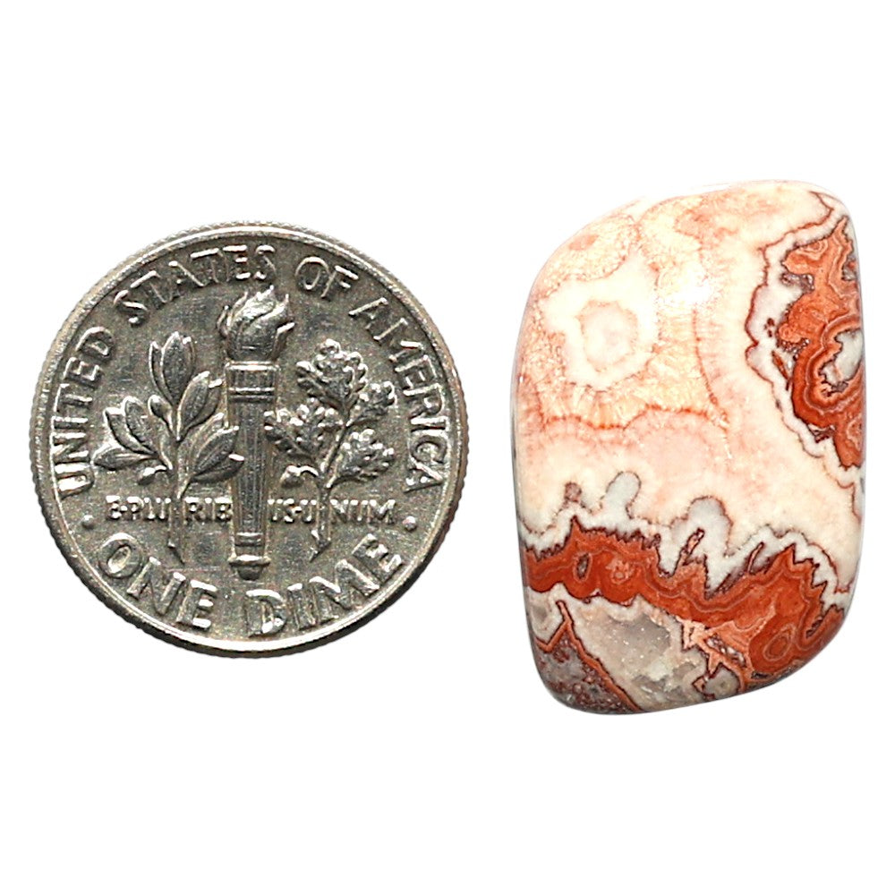 Natural Rosetta Picture Jasper 14.5x35.6x5.5 mm Fancy Shape Polished Gemstone LS99-010328