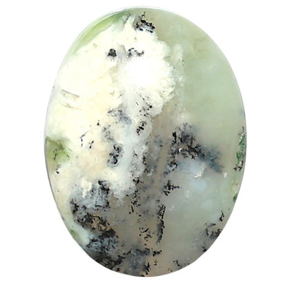 Natural Dendritic Chrysoprase 16.2x21.7x5.5 mm Oval Shape Polished Gemstone LS99-010335