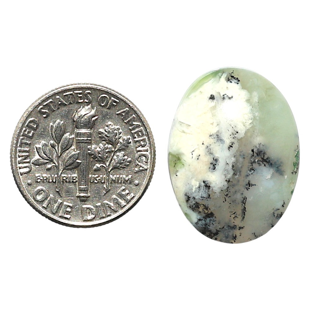 Natural Dendritic Chrysoprase 16.2x21.7x5.5 mm Oval Shape Polished Gemstone LS99-010335