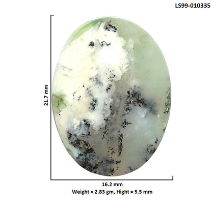 Natural Dendritic Chrysoprase 16.2x21.7x5.5 mm Oval Shape Polished Gemstone LS99-010335