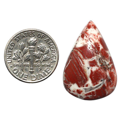 Natural Money Agate 17.6x25.9x6.5 mm Pear Shape Polished Gemstone LS99-010340