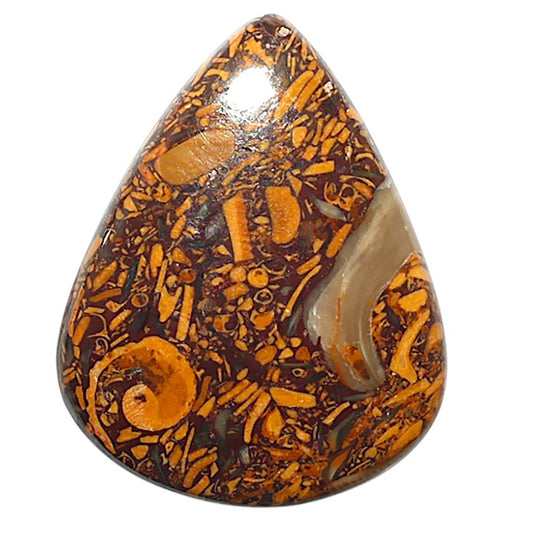 Natural Coquina Fossil Jasper 24.5x30.9x5 mm Pear Shape Polished Gemstone LS99-010347