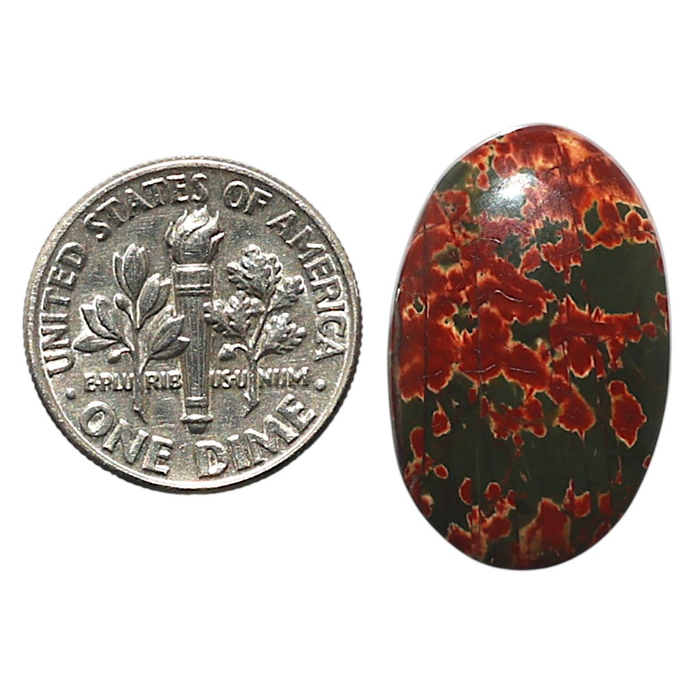 Natural Cherry Creek 15x23.6x5 mm Oval Shape Polished Gemstone LS99-010354