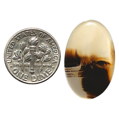 Natural Montana Agate 16x25.1x3.5 mm Oval Shape Polished Gemstone LS99-010355