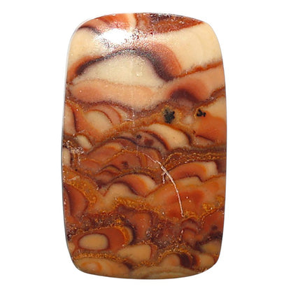 Natural Wave Dolomite 18.5x29.7x4.5 mm Cushion Shape Polished Gemstone LS99-010356