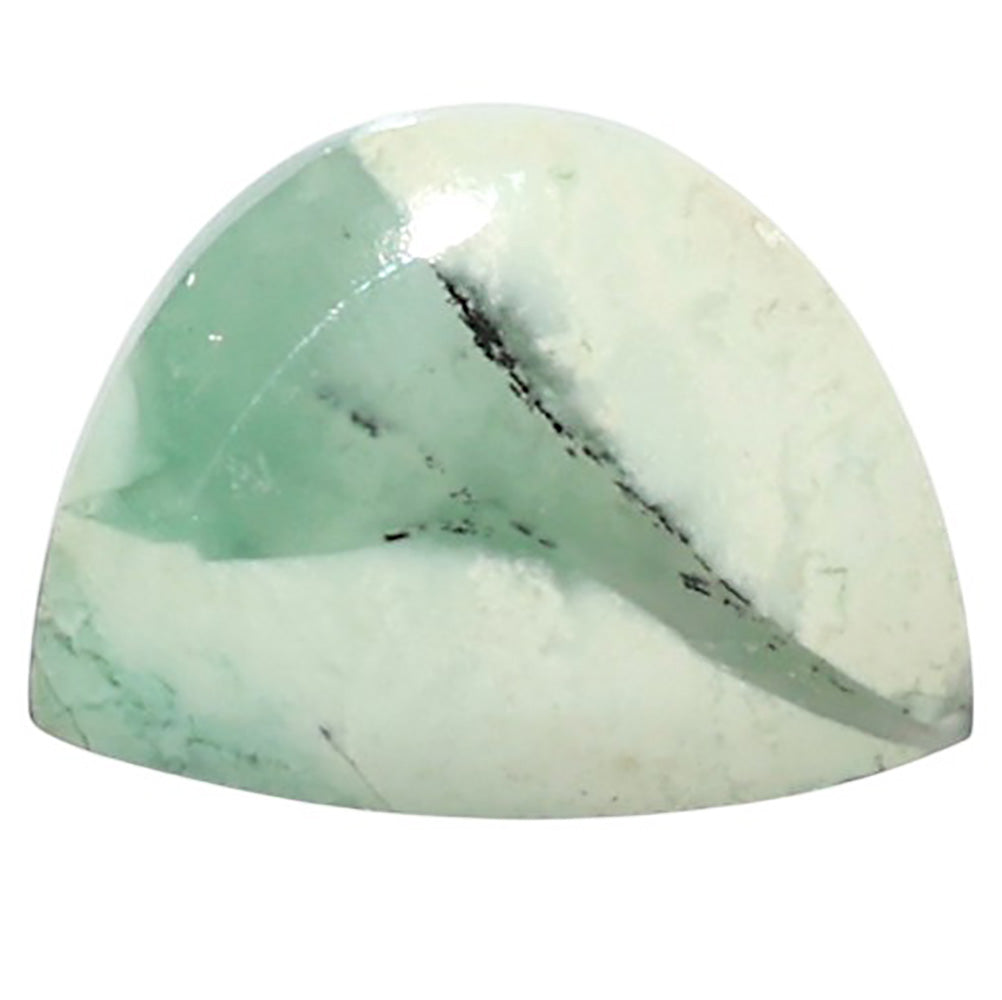 Natural Dendritic Chrysoprase 15x19.7x5.3 mm Fancy Shape Polished Gemstone LS99-010358