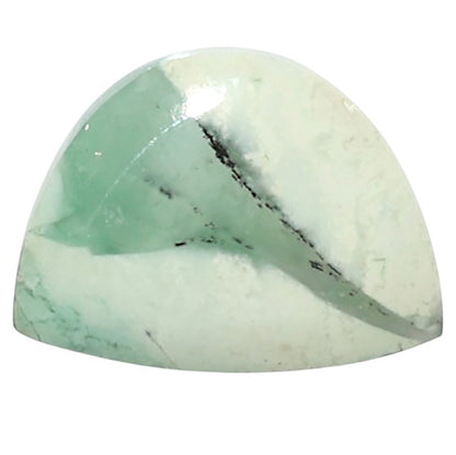 Natural Dendritic Chrysoprase 15x19.7x5.3 mm Fancy Shape Polished Gemstone LS99-010358