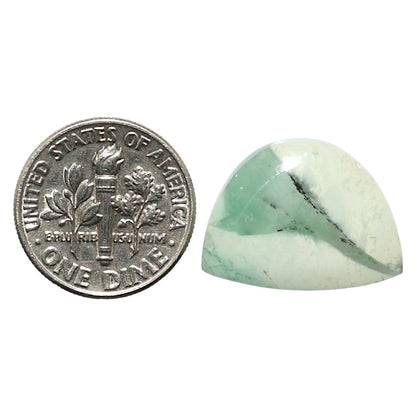 Natural Dendritic Chrysoprase 15x19.7x5.3 mm Fancy Shape Polished Gemstone LS99-010358