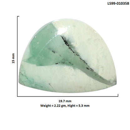 Natural Dendritic Chrysoprase 15x19.7x5.3 mm Fancy Shape Polished Gemstone LS99-010358