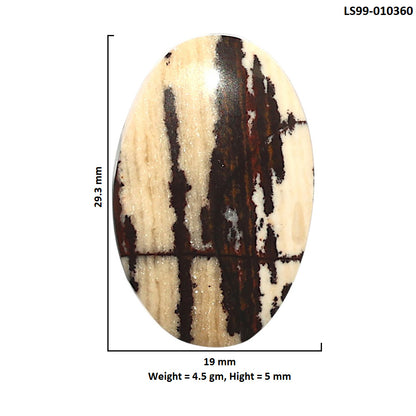 Natural Outback Jasper 19x29.3x5 mm Oval Shape Polished Gemstone LS99-010360