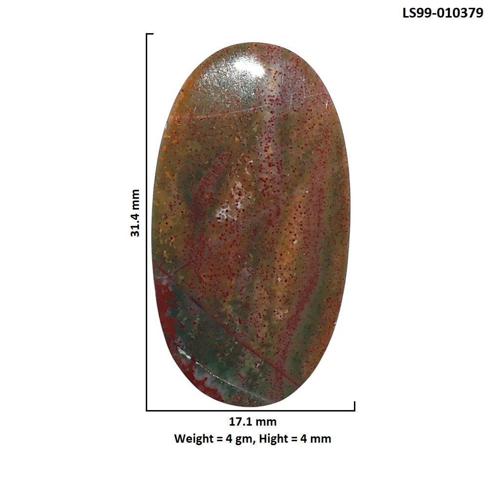 Natural Blood Stone 17.1x31.4x4 mm Oval Shape Polished Gemstone LS99-010379