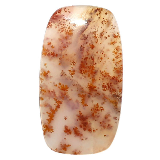 Natural Robinson Ranch Plume Agate 16x28.8x3 mm Cushion Shape Polished Gemstone LS99-010381