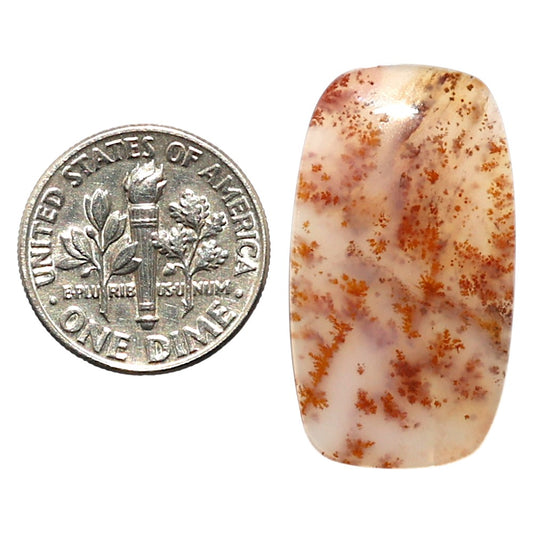 Natural Robinson Ranch Plume Agate 16x28.8x3 mm Cushion Shape Polished Gemstone LS99-010381