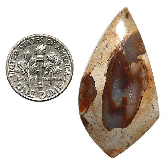 Natural Rock Calcy 21x39.9x5 mm Fancy Shape Polished Gemstone LS99-010387