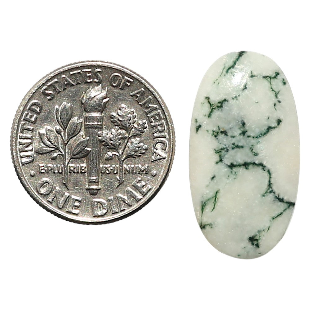 Natural Tree Weed Moss Agate 12.1x22.5x3.5 mm Oval Shape Polished Gemstone LS99-010392