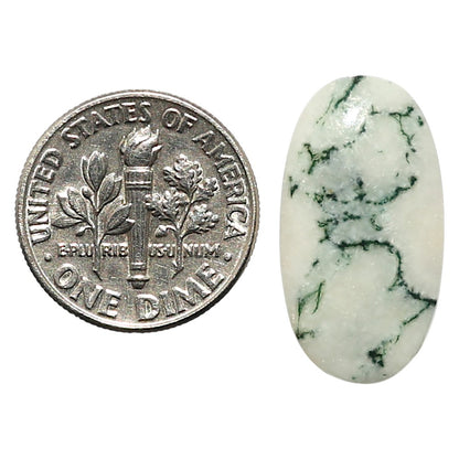 Natural Tree Weed Moss Agate 12.1x22.5x3.5 mm Oval Shape Polished Gemstone LS99-010392
