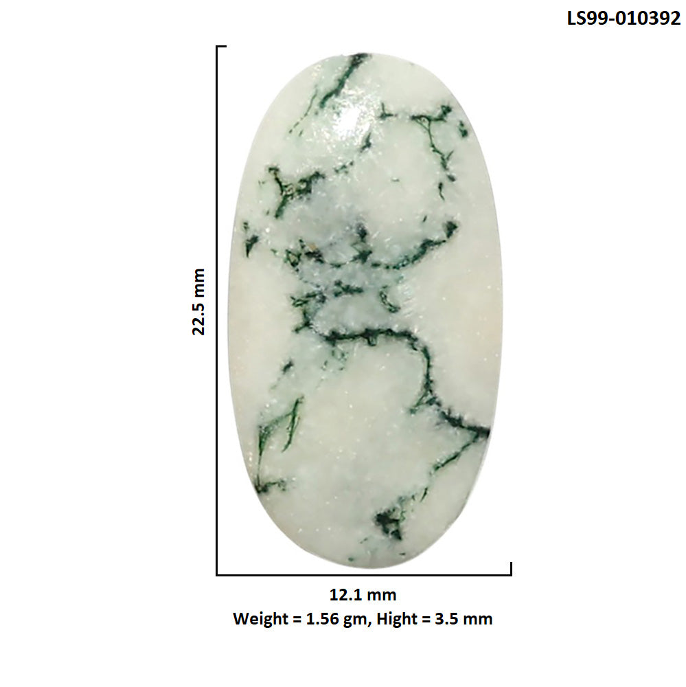 Natural Tree Weed Moss Agate 12.1x22.5x3.5 mm Oval Shape Polished Gemstone LS99-010392