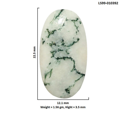 Natural Tree Weed Moss Agate 12.1x22.5x3.5 mm Oval Shape Polished Gemstone LS99-010392