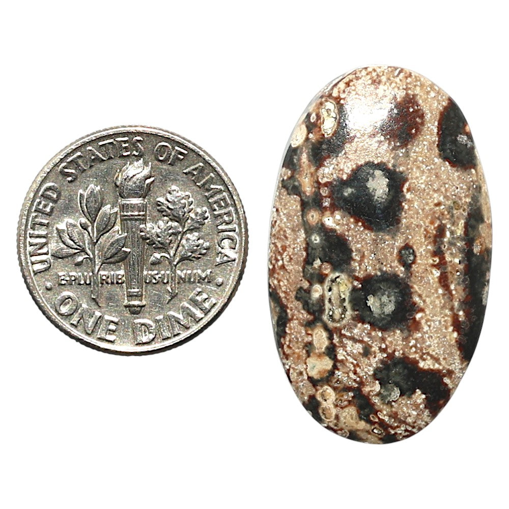 Natural Viper Skin Jasper 17.3x29.2x5 mm Oval Shape Polished Gemstone LS99-010399