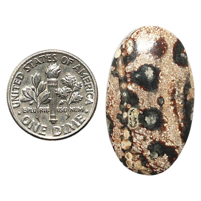 Natural Viper Skin Jasper 17.3x29.2x5 mm Oval Shape Polished Gemstone LS99-010399