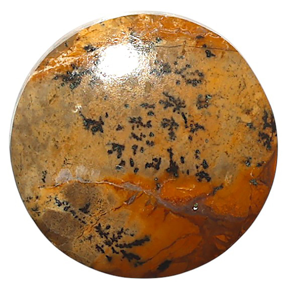 Natural Honey Dendritic Opal 24.7x24.7x5 mm Round Shape Polished Gemstone LS99-010412