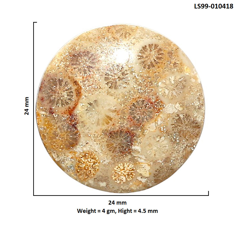 Natural Flower Fossil Coral 24x24x4.5 mm Round Shape Polished Gemstone LS99-010418